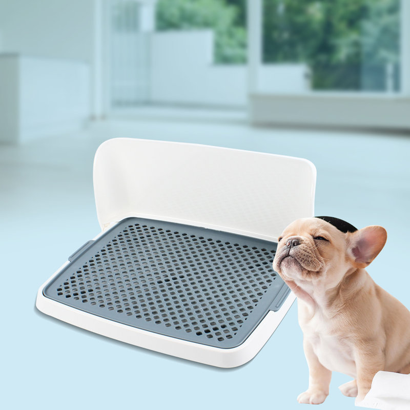 Indoor dog potty tray best sale